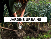 jardins-urbains-thum.jpg