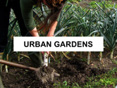 urban-garden-thum.jpg