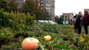 Sustainable Food for Urban Communities (URBACT)