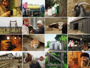 EMUDE / Emerging user demands for sustainable solution